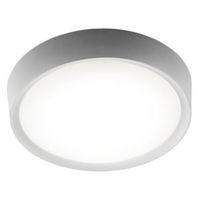 Ruth White Frosted Bathroom Flush Light