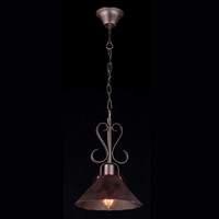 Rustic hanging light Iron with iron shade