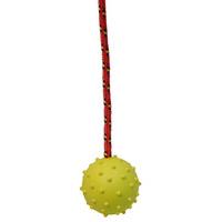 Rubber Ball On Rope Dog Toy