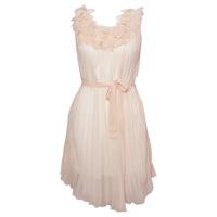 Ruffle Neck Pleat Dress