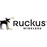 Ruckus Partner WatchDog Support for ZoneDirector 1125 13 AP License UG Support Ren 1 Year