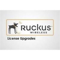 Ruckus ZoneDirector 1100 License Upgrade from Supporting 6 to Supporting 50 ZoneFlex Access Points