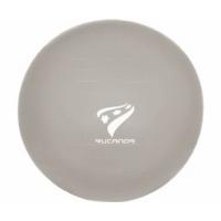 Rucanor Gym Ball (65 cm)