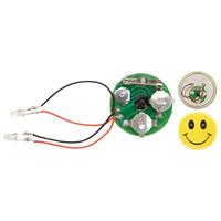 RVFM Flashing Badge Module with LEDs - Pack of 30