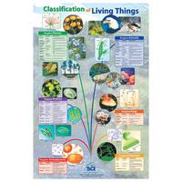 RVFM Plants and Plant Processes Poster