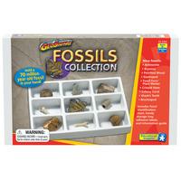 RVFM Geo Safari Fossil Set