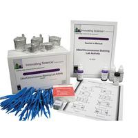 rvfm dna chromosome staining lab activity