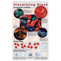 RVFM Visualising Blood Poster