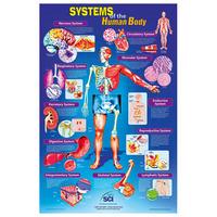 RVFM Systems of The Human Body Poster