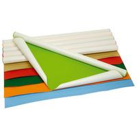 RVFM Poster Paper Assorted Pack of 10
