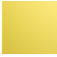 RVFM Polypropylene Sheet Jasmine Yellow