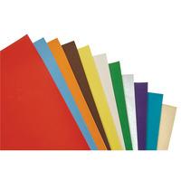 RVFM Poster Paper Assorted - Pack of 100