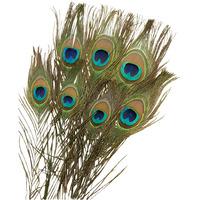RVFM Peacock Feathers 300mm - Pack of 10