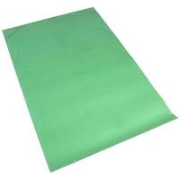 rvfm poster paper sheets pale green pack of 25 760 x 510mm 95gsm