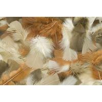 RVFM Natural Feathers
