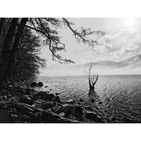 RV Astley Lake Opti White Image