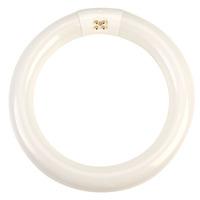 RVFM FC8T9840 22W Circular Cool White Tube 210mm