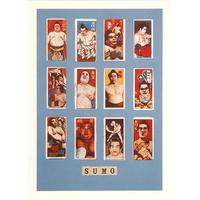 S is for Sumo By Peter Blake