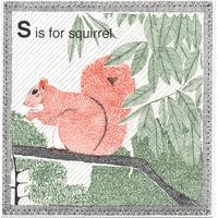 S id for Squirrel By Clare Halifax