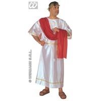 S Mens Caesar Costume for Roman Greek Fancy Dress Male UK 38-40 Chest