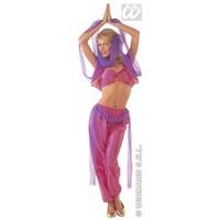 s pink ladies womens harem dancer costume outfit for middle eastern ar ...