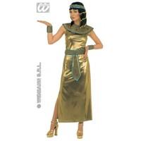 S Ladies Womens Cleopatra Deluxe Costume Outfit for Egyptian Queen Fancy Dress Female UK 8-10