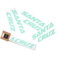 Santa Cruz Custom Downtube Decal Mint