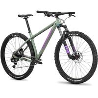 Santa Cruz Chameleon D 29er Mountain Bike 2017 Green/Purple