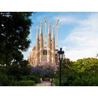 Sagrada Familia Tour - Skip the Line