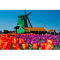 save 12 amsterdam super saver 3 city tour plus zaanse schans windmills ...