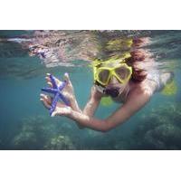 save 11 marietas islands cavern swim and snorkel cruise from puerto va ...