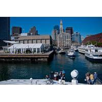 save 12 boston super saver whale watching cruise plus admission to new ...