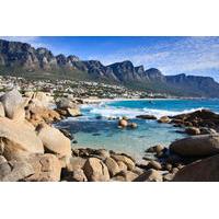 save 10 cape peninsula tour from cape town