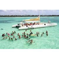 Saona Island Day Trip