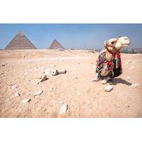 Safari Tour: Horse or Camel Ride at Sunrise at Giza