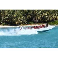 Saona Island Catamaran Speedboat Tour