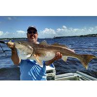 Sarasota Fishing Charters