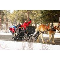 sand harbor lake tahoe state park private sleigh ride
