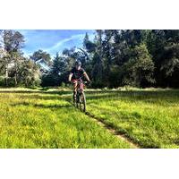 Santa Cruz Mountain Bike Tour