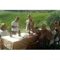 San Gimignano Tour with Vernaccia Tasting and Lunch from Florence