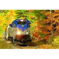 Saratoga and North Creek Fall Foliage Scenic Train Ride