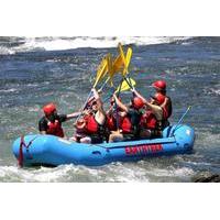 san francisco day trip american river rafting adventure and wine tour
