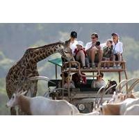 Safari West Sonoma Admission and Jeep Tour