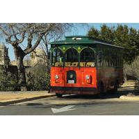 san antonio 2 day hop on hop off trolley and double decker bus pass