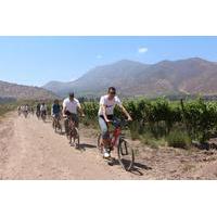 Santa Rita Winery Bike and Wine Tour