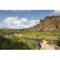 Salt River Kayak Adventure from Scottsdale