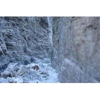 Samaria Gorge Tour from Chania - The Longest Gorge in Europe