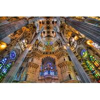 Sagrada Familia and Park Guell Private Guided Family Tour in Barcelona
