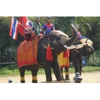 Sampran Elephant Ground and Zoo Tour from Bangkok