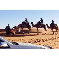Sahara Camel Trek and Cultural Private Tour from Marrakech